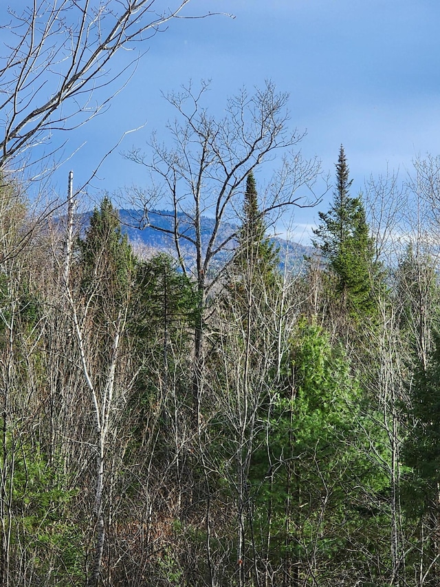 view of landscape