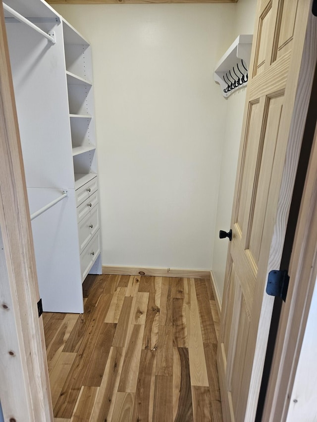 walk in closet with light wood-style flooring