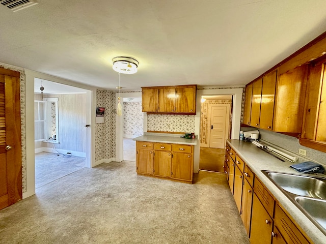 kitchen featuring light colored carpet and sink