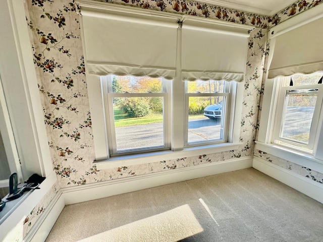 interior space featuring carpet floors