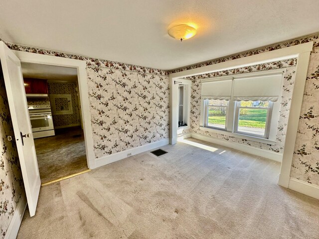 spare room featuring a textured ceiling and carpet floors