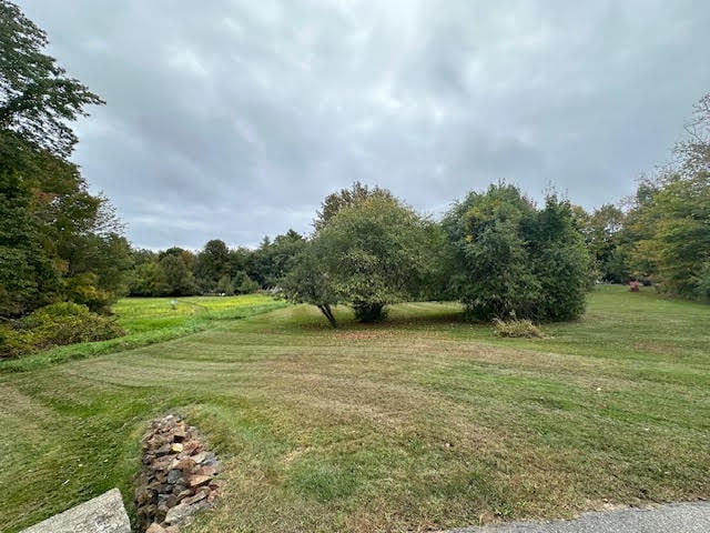 view of yard with a rural view