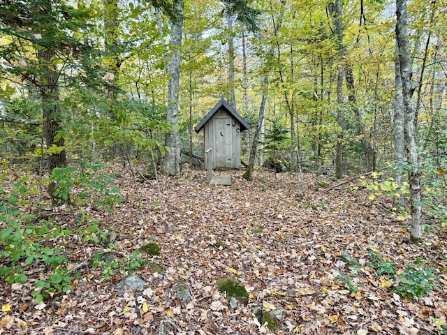 view of yard with a shed