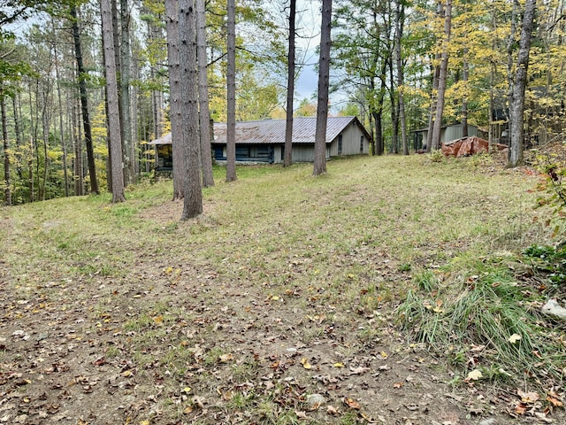 view of yard with a shed