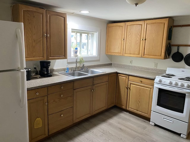 kitchen featuring light wood-type flooring, white appliances, ornamental molding, and sink