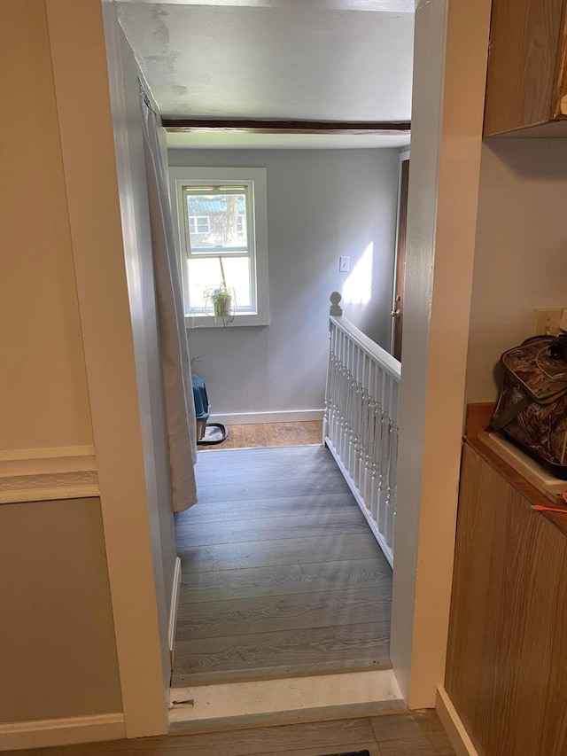 stairs with hardwood / wood-style flooring