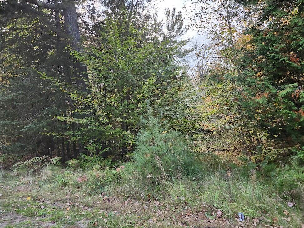 277 E Newport Rd, Stetson, ME 04488