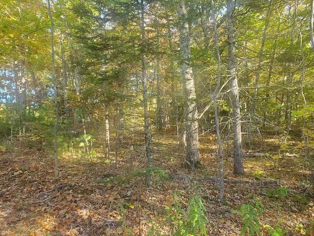 Listing photo 2 for LOT24-1 Lillians Ln, Dixmont ME 04932