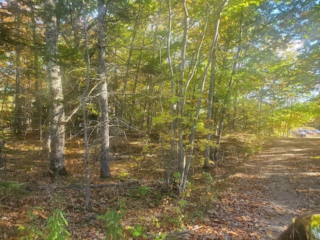 Listing photo 3 for LOT24-1 Lillians Ln, Dixmont ME 04932