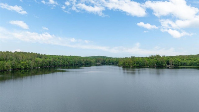 211 Lovejoy Pond Rd, Wayne, ME 04284 - photo 79
