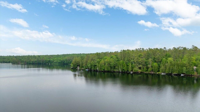 211 Lovejoy Pond Rd, Wayne, ME 04284 - photo 4