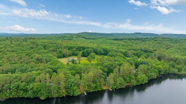211 Lovejoy Pond Rd, Wayne, ME 04284 - photo 80