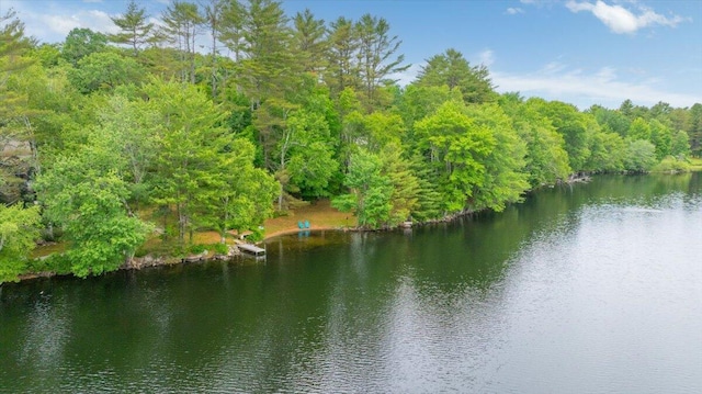 211 Lovejoy Pond Rd, Wayne, ME 04284 - photo 81