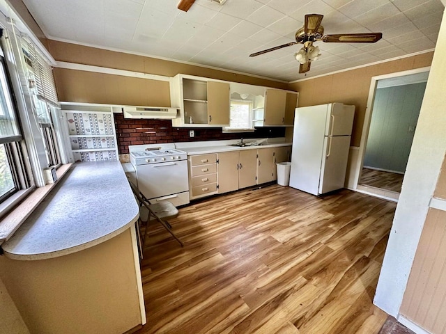 kitchen featuring light hardwood / wood-style floors, white appliances, range hood, sink, and ornamental molding