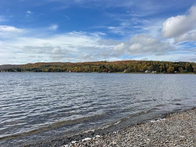 837 Sly Brook Rd, Wallagrass, ME 04781 - photo 10