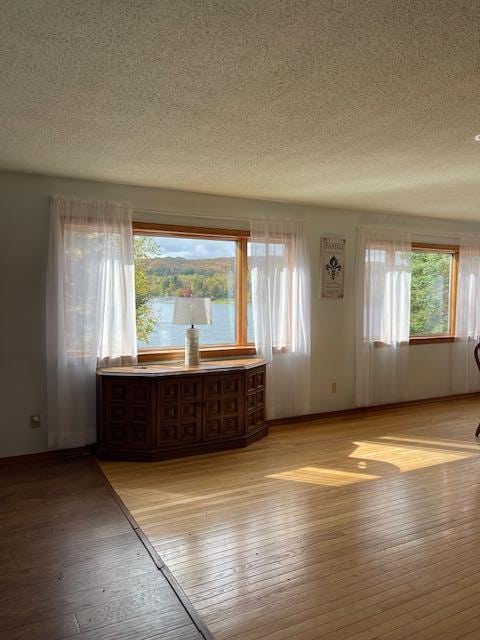 interior space featuring light hardwood / wood-style flooring and a textured ceiling