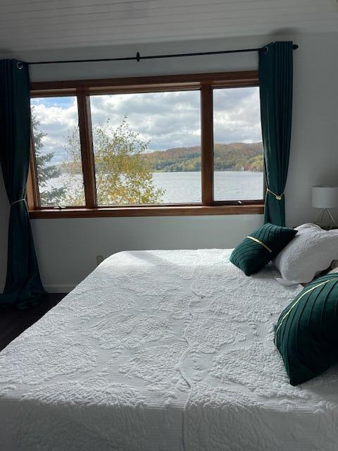 bedroom with a water view and multiple windows