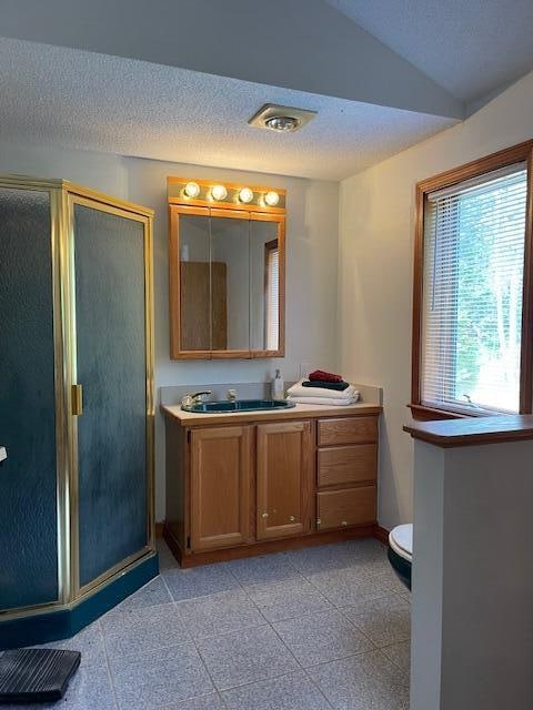 bathroom with vanity, toilet, a textured ceiling, walk in shower, and vaulted ceiling