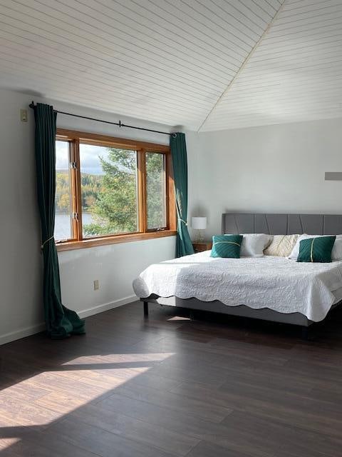 bedroom featuring vaulted ceiling and dark hardwood / wood-style flooring