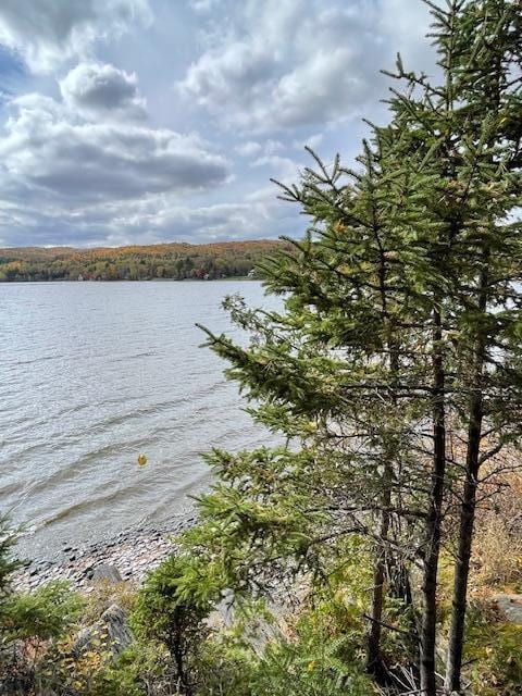 837 Sly Brook Rd, Wallagrass, ME 04781 - photo 7