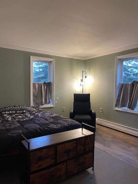 bedroom featuring multiple windows, wood-type flooring, ornamental molding, and baseboard heating