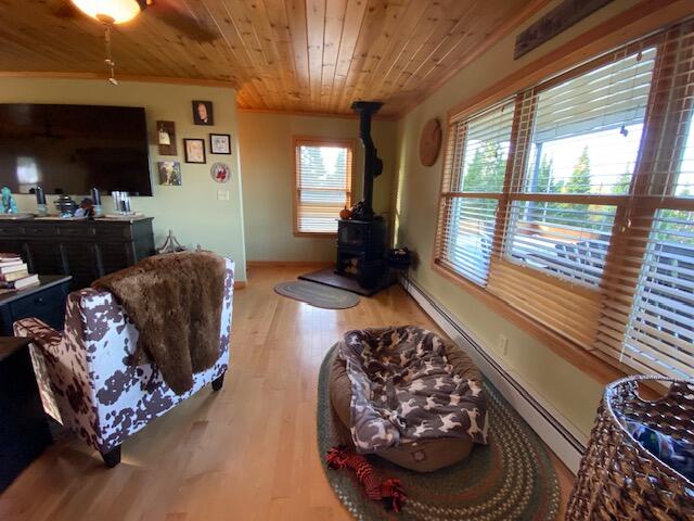 living room featuring a wood stove, light wood-type flooring, a wealth of natural light, and a baseboard heating unit