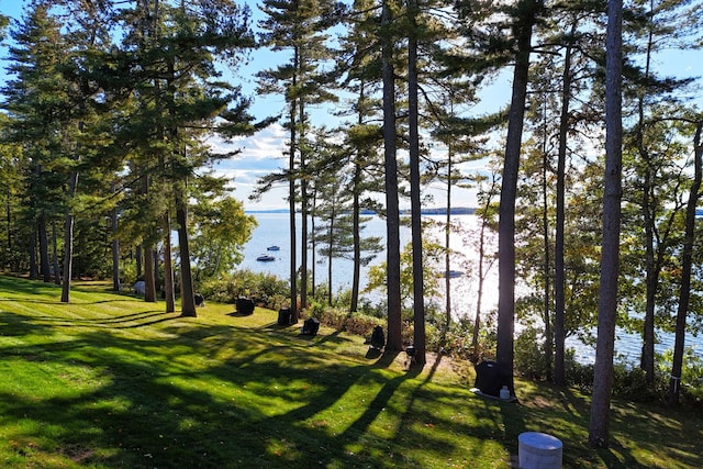 view of home's community with a yard and a water view