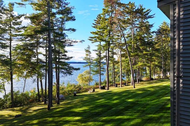 view of yard featuring a water view