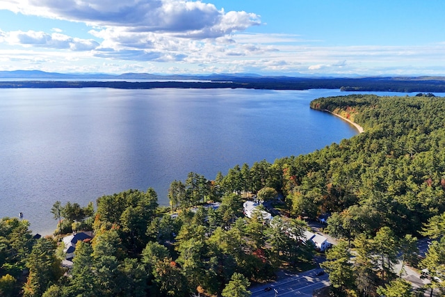 birds eye view of property with a water and mountain view