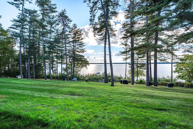 view of community with a water view and a lawn