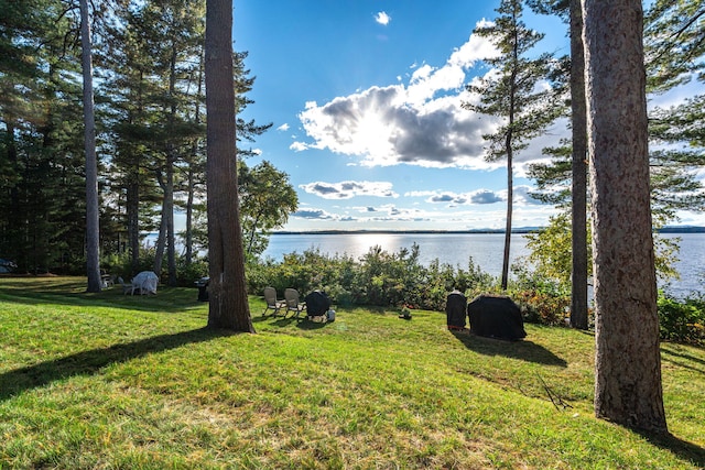 view of yard with a water view