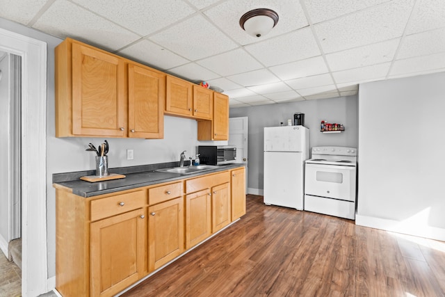 kitchen featuring a paneled ceiling, white appliances, sink, and dark wood-type flooring