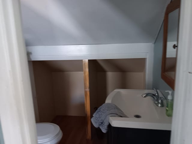 bathroom featuring vanity, lofted ceiling, hardwood / wood-style flooring, and toilet