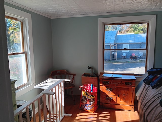 interior space with hardwood / wood-style floors and multiple windows