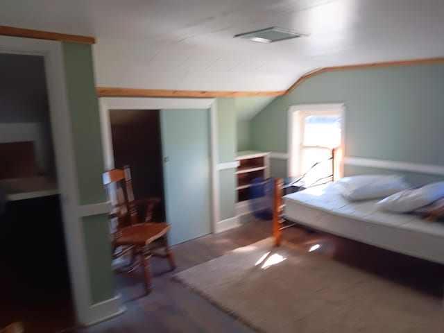 bedroom with dark hardwood / wood-style floors and vaulted ceiling