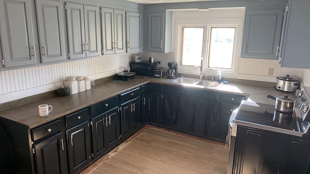 kitchen with sink, light hardwood / wood-style floors, and stainless steel stove