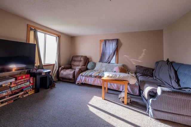 carpeted living room featuring a textured ceiling