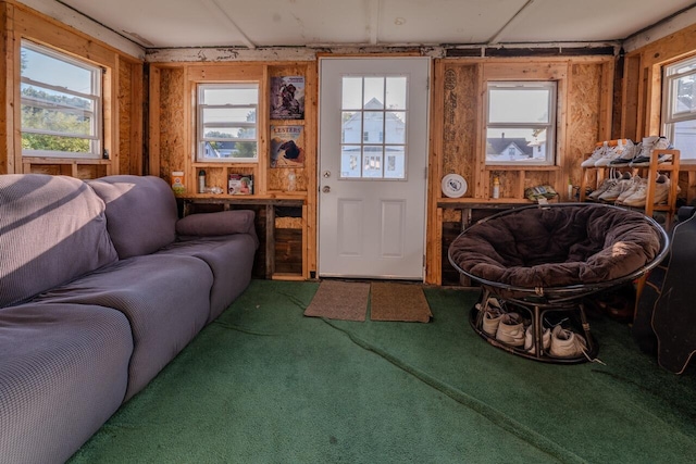 living room featuring a wealth of natural light and carpet