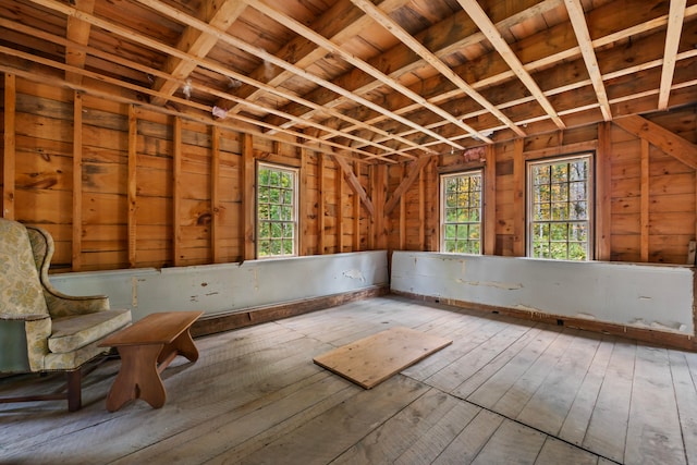 misc room featuring wood walls, plenty of natural light, and light hardwood / wood-style floors