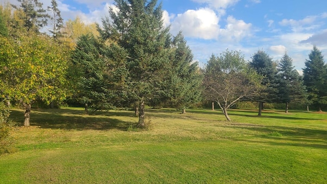 surrounding community featuring a lawn