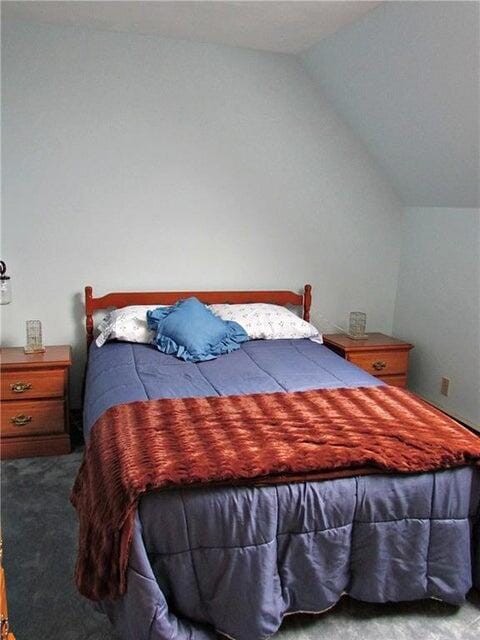 bedroom featuring carpet flooring and lofted ceiling