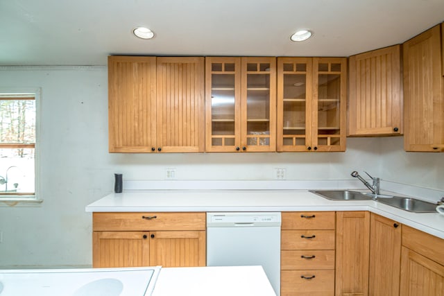 kitchen featuring white dishwasher and sink