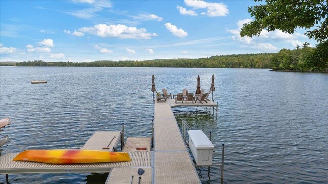 11 Neal Ln, Monmouth, ME 04259 - photo 129