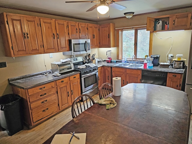 kitchen with light wood-type flooring, sink, appliances with stainless steel finishes, ornamental molding, and ceiling fan