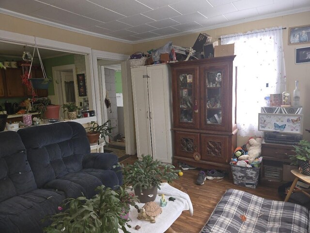 living room featuring dark wood-type flooring and ornamental molding