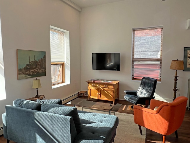 30 Water St, Ellsworth, ME 04605 - living room with wood-type flooring and plenty of natural light