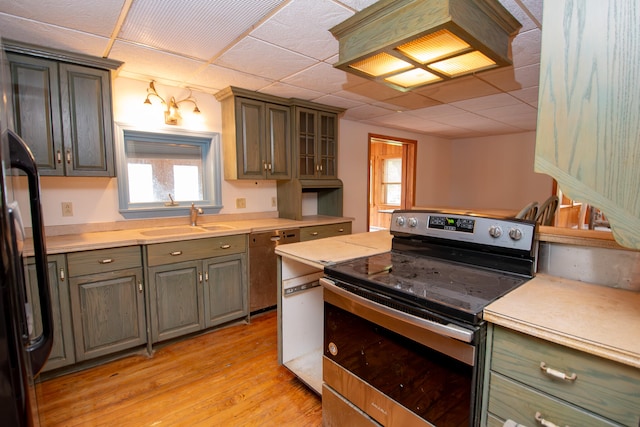 kitchen featuring stainless steel appliances, light wood-type flooring, and sink