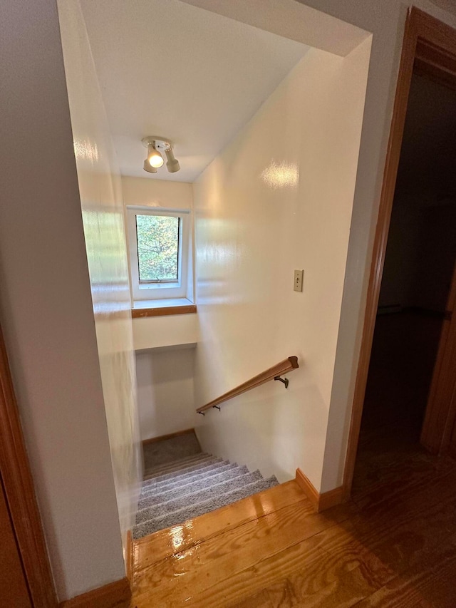 staircase with hardwood / wood-style floors