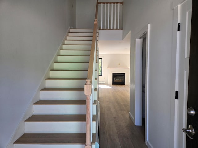 stairs with hardwood / wood-style flooring