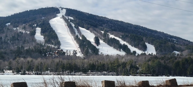 view of mountain feature